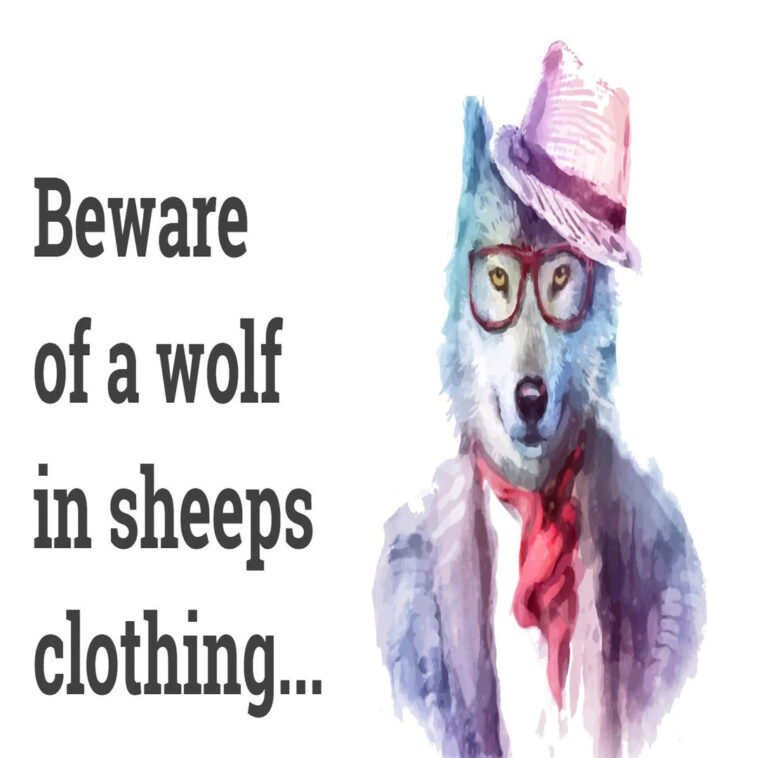 how to spot wolf in sheeps clothing